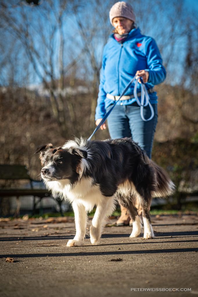 threema-20251223-174924610