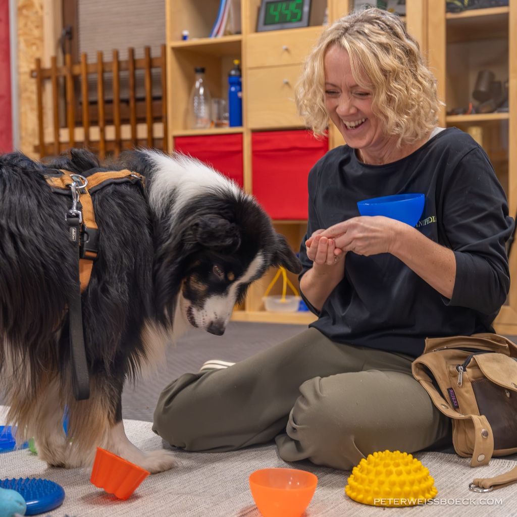 threema-20251223-174959699